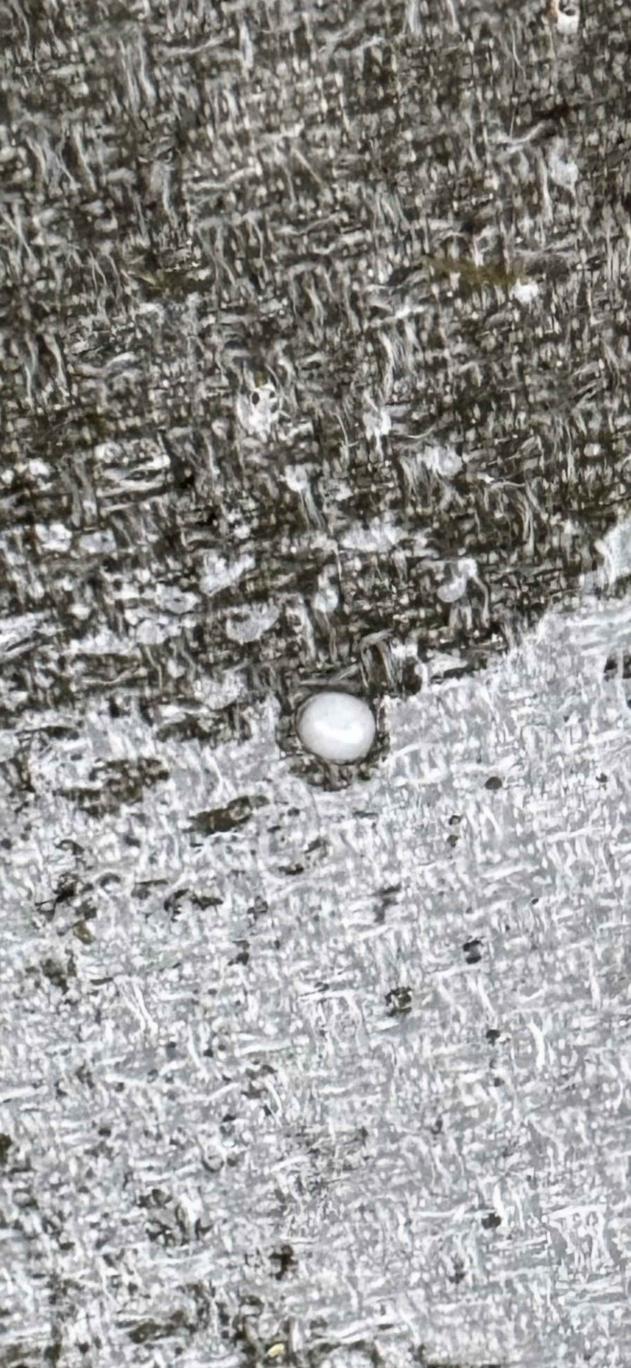 Hail on a door mat
