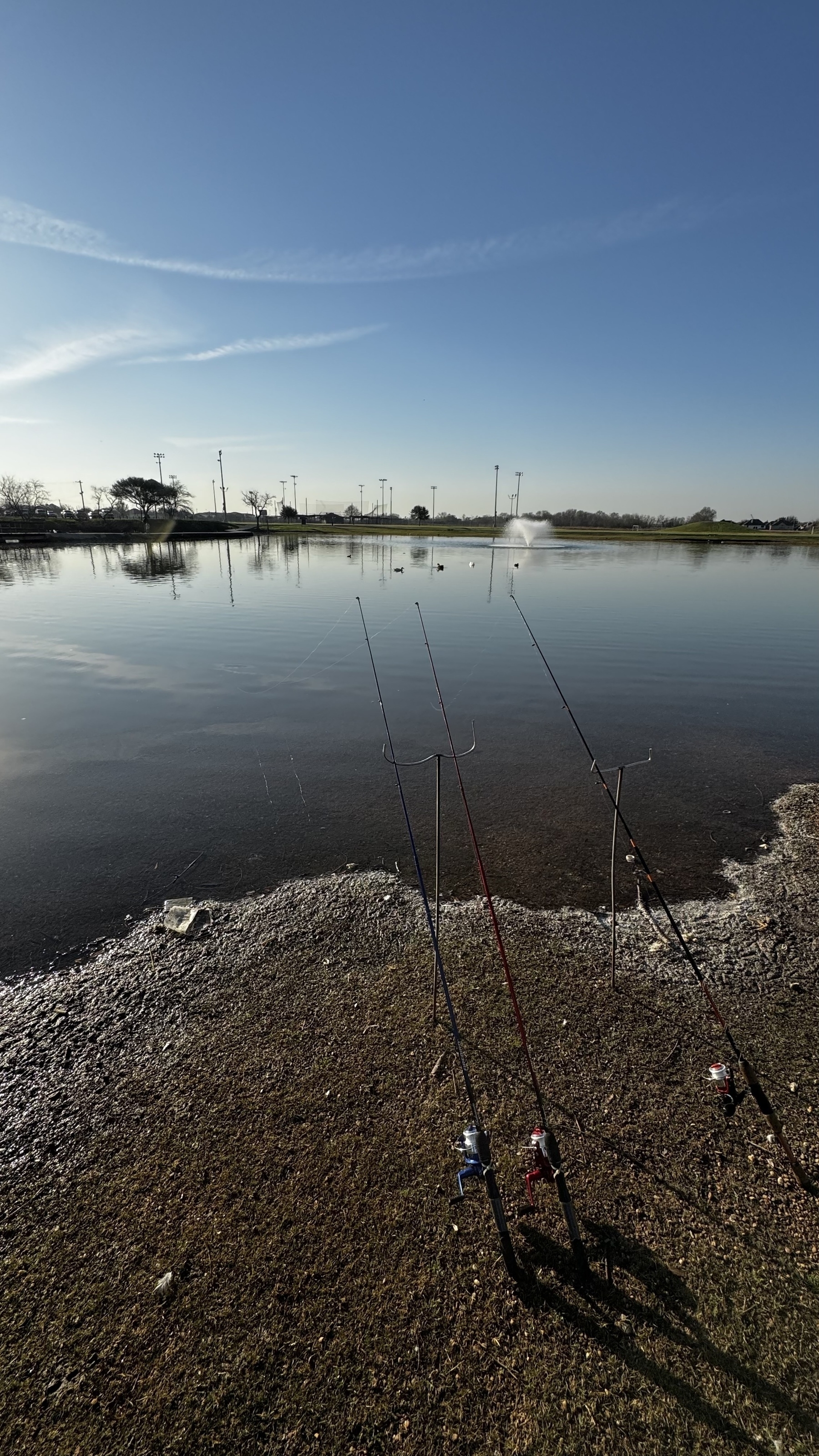 On the bank of a small pond, fishing rods on stands